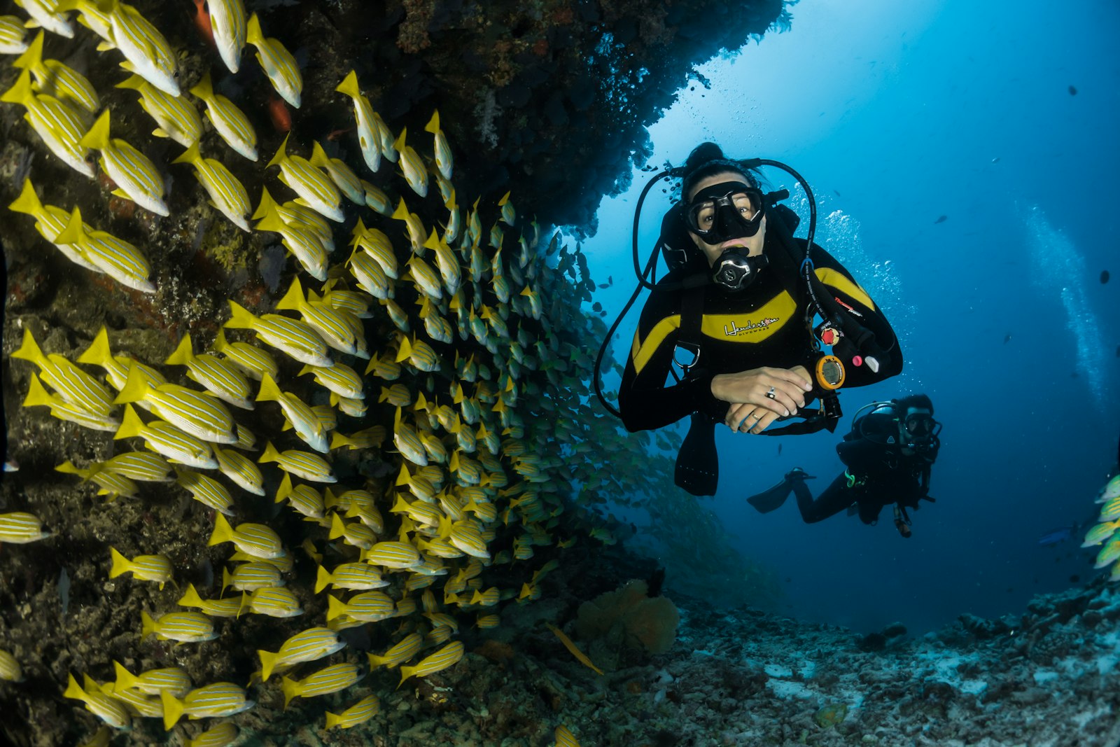 Sandbank & Snorkel Adventure